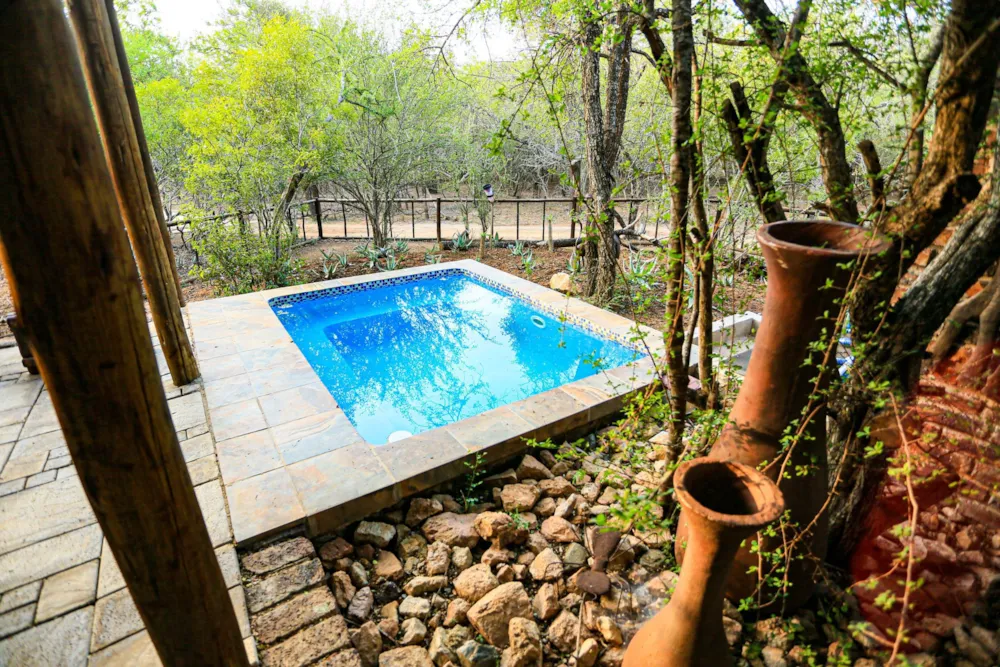 House to rent in Marloth Park - 1NK1658374 House to rent in Marloth Park - 1NK1658374