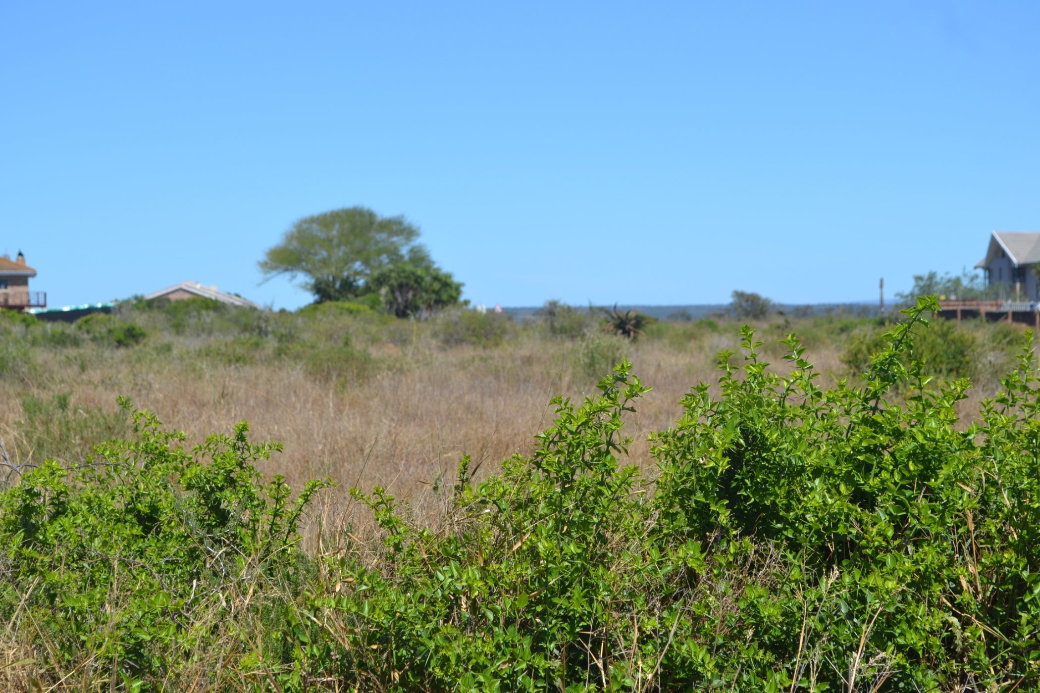 Residential vacant land for sale in Colchester - 1PLZ1701194