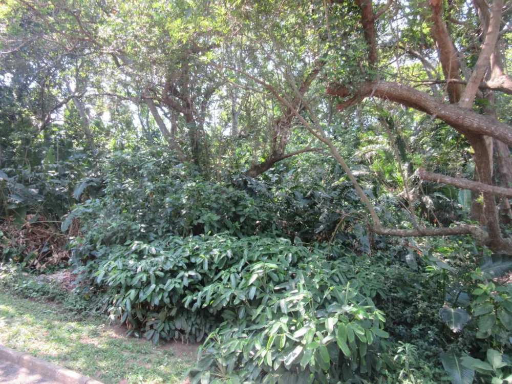Residential vacant land for sale in Ramsgate - 1PD1591536 Residential vacant land for sale in Ramsgate - 1PD1591536