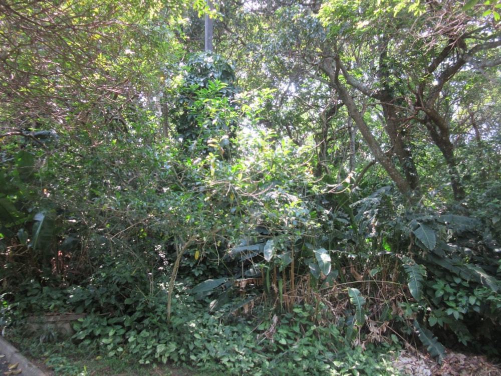 Residential vacant land for sale in Ramsgate - 1PD1591536 Residential vacant land for sale in Ramsgate - 1PD1591536