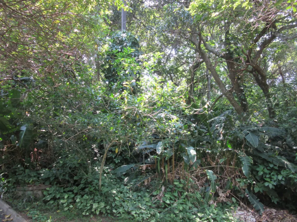 Residential vacant land for sale in Ramsgate - 1PD1591536 Residential vacant land for sale in Ramsgate - 1PD1591536