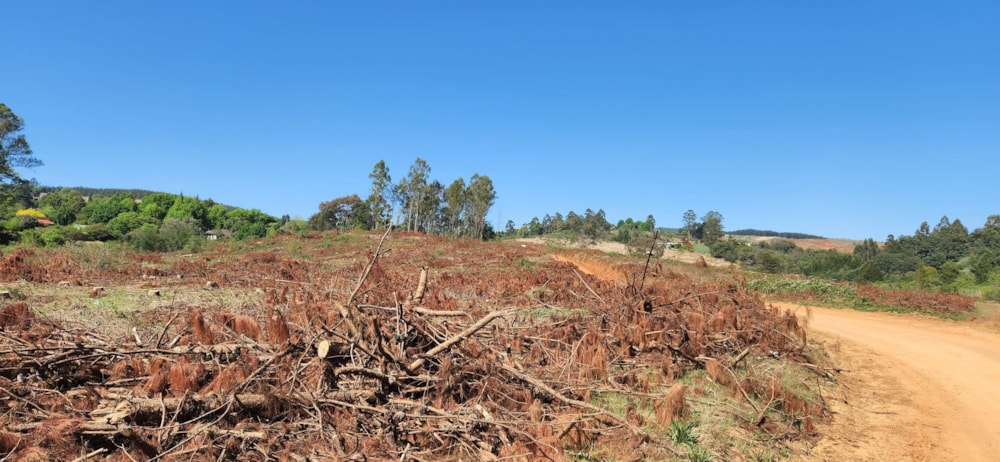 Vacant land for sale in Haenertsburg - 1TA1591752 Vacant land for sale in Haenertsburg - 1TA1591752