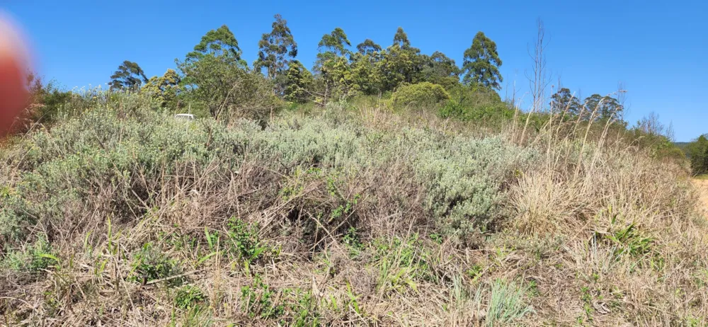 Vacant land for sale in Haenertsburg - 1TA1591752