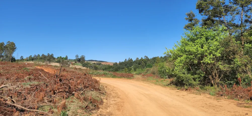 Vacant land for sale in Haenertsburg - 1TA1591752