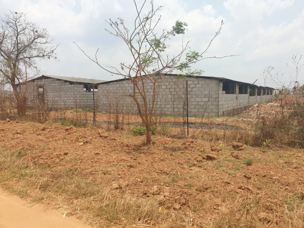 Breeding farm for sale in Chongwe, Zambia - 3ZA1592071