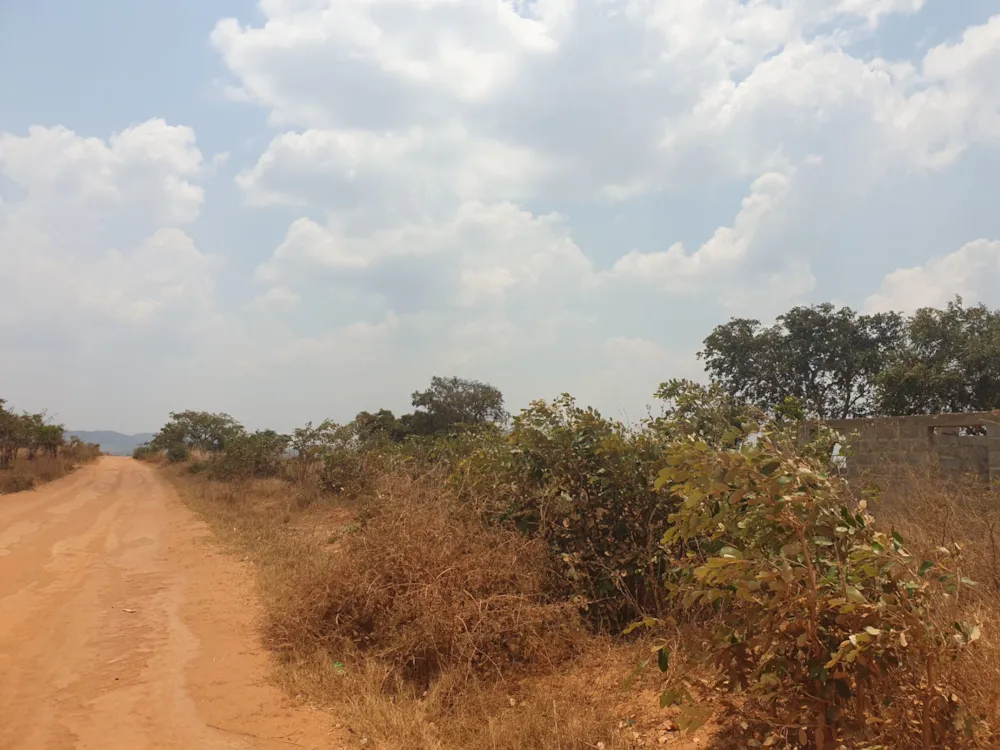 Breeding farm for sale in Chongwe, Zambia - 3ZA1592071