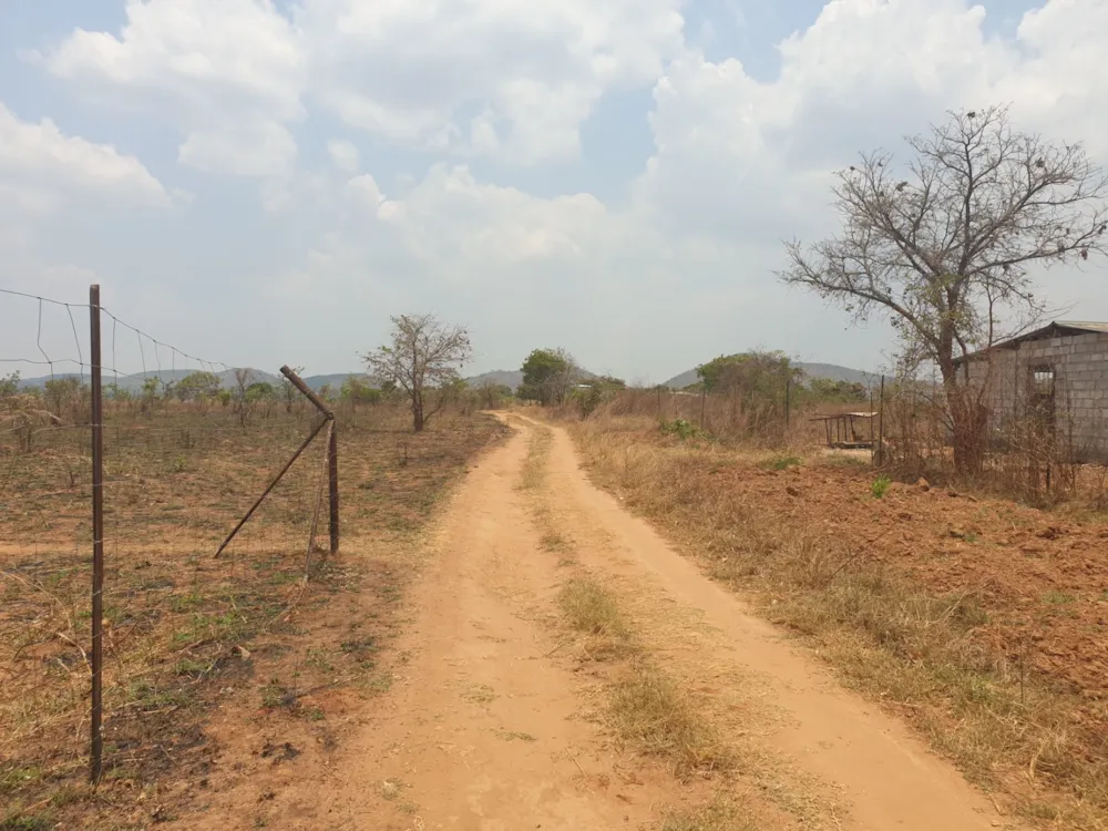 Breeding farm for sale in Chongwe, Zambia - 3ZA1592071