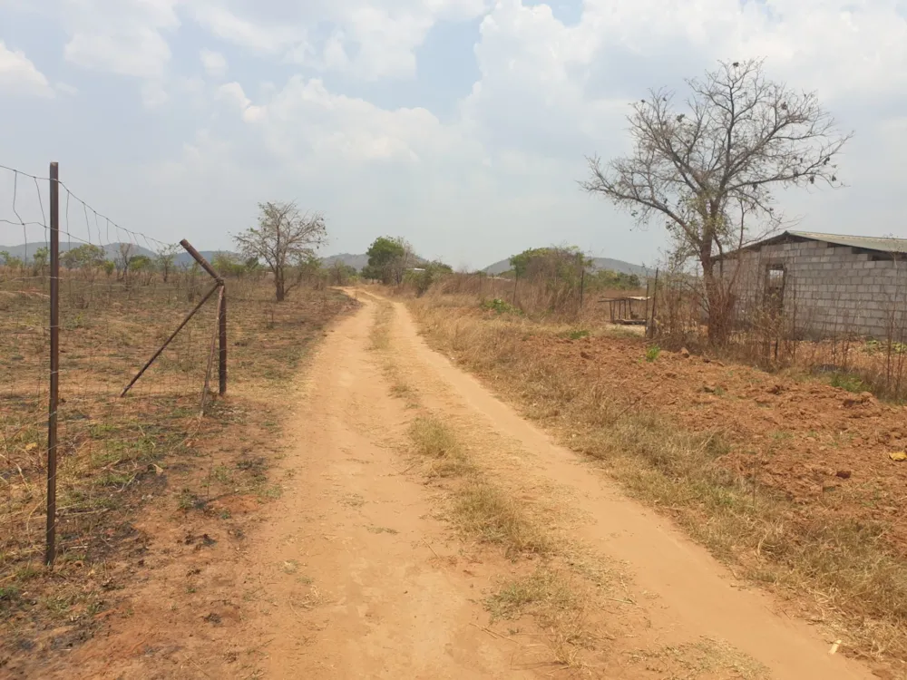 Breeding farm for sale in Chongwe, Zambia - 3ZA1592071