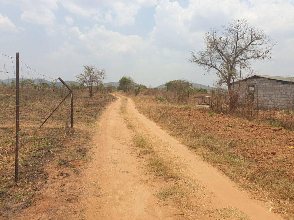 Breeding farm for sale in Chongwe, Zambia - 3ZA1592071 Breeding farm for sale in Chongwe, Zambia - 3ZA1592071