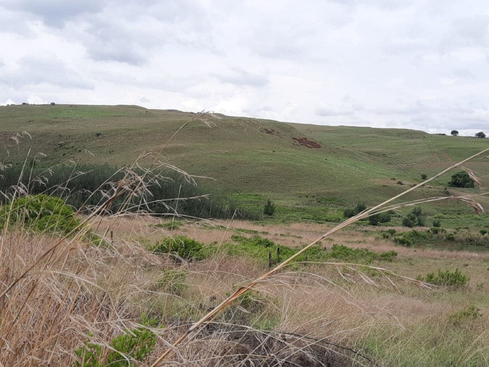 Vacant land for sale in Dullstroom - 1DS1618914 Vacant land for sale in Dullstroom - 1DS1618914