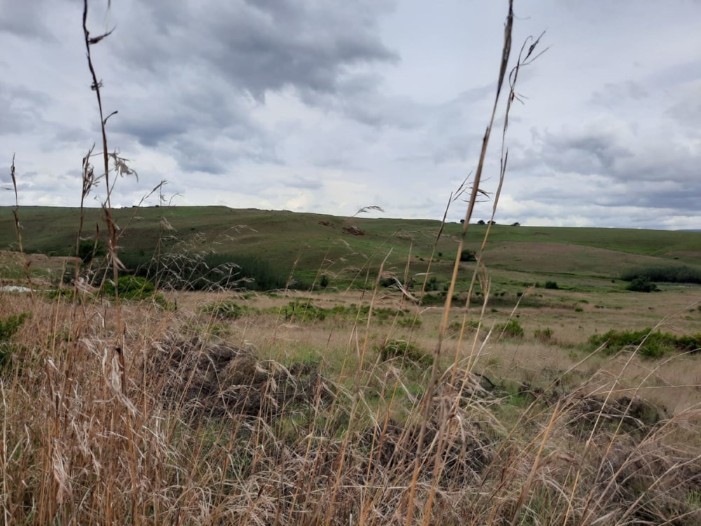 Vacant land for sale in Dullstroom - 1DS1618914 Vacant land for sale in Dullstroom - 1DS1618914