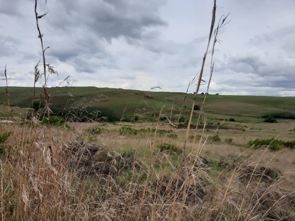 Vacant land sold in Dullstroom - 1DS1618914 Vacant land sold in Dullstroom - 1DS1618914