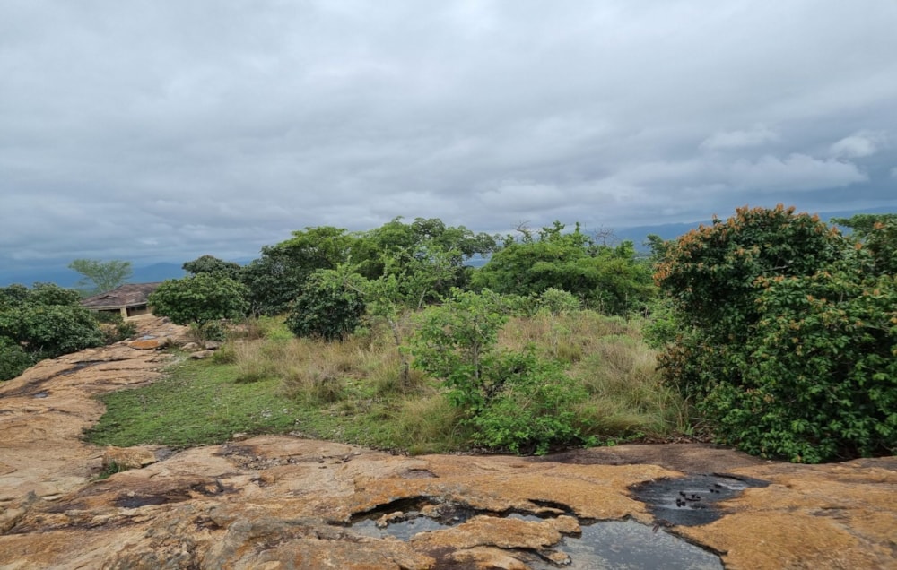 Vacant land for sale in Nelspruit (Mbombela) - 1NS1593648