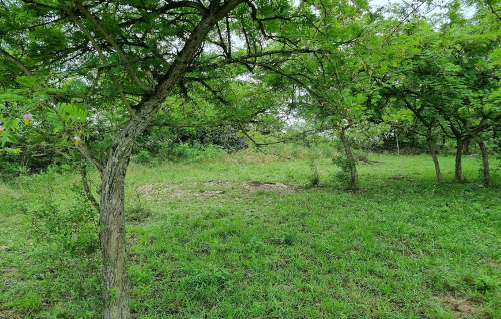 Vacant land for sale in Nelspruit (Mbombela) - 1NS1593648