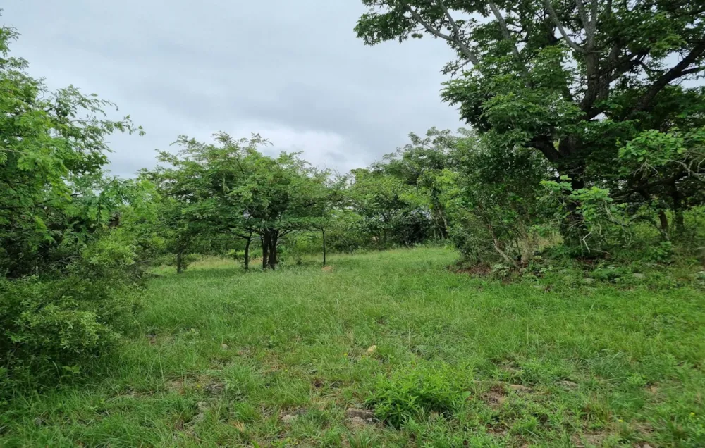 Vacant land for sale in Nelspruit (Mbombela) - 1NS1593648