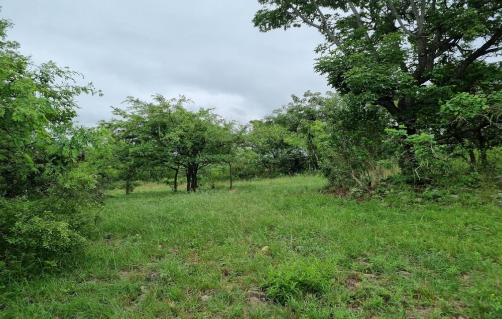 Vacant land for sale in Nelspruit (Mbombela) - 1NS1593648