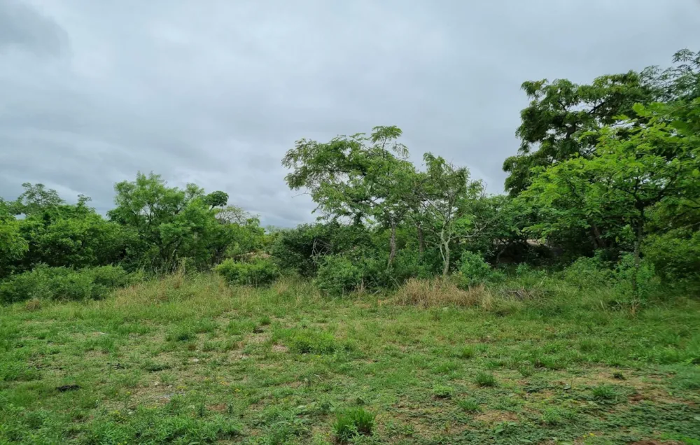 Vacant land for sale in Nelspruit (Mbombela) - 1NS1593648