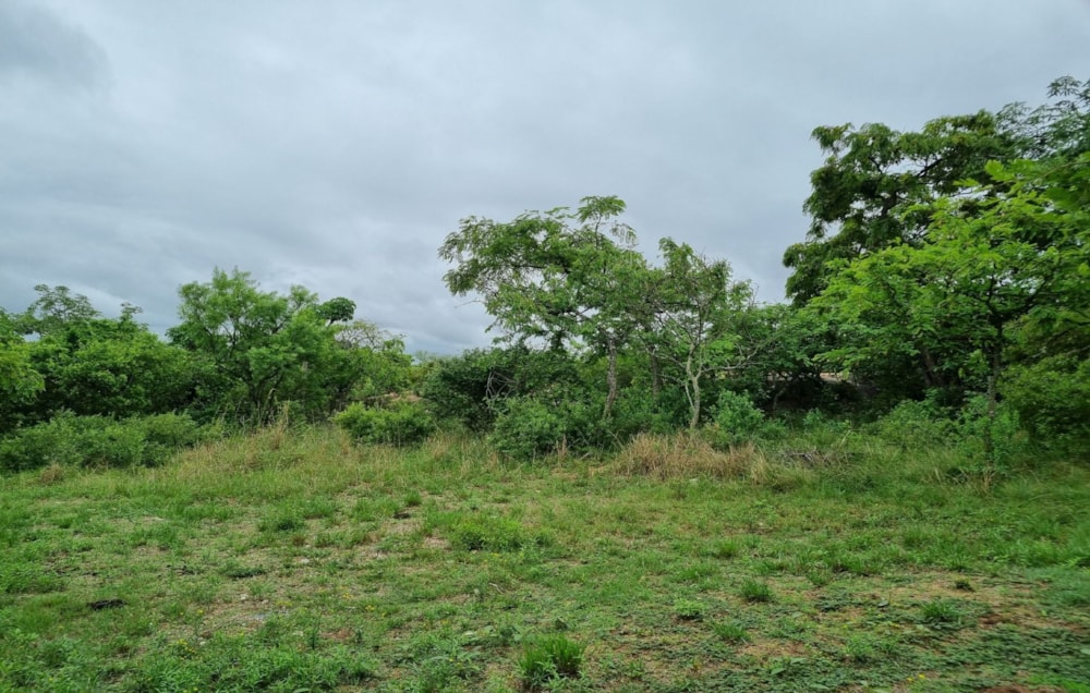 Vacant land for sale in Nelspruit (Mbombela) - 1NS1593648