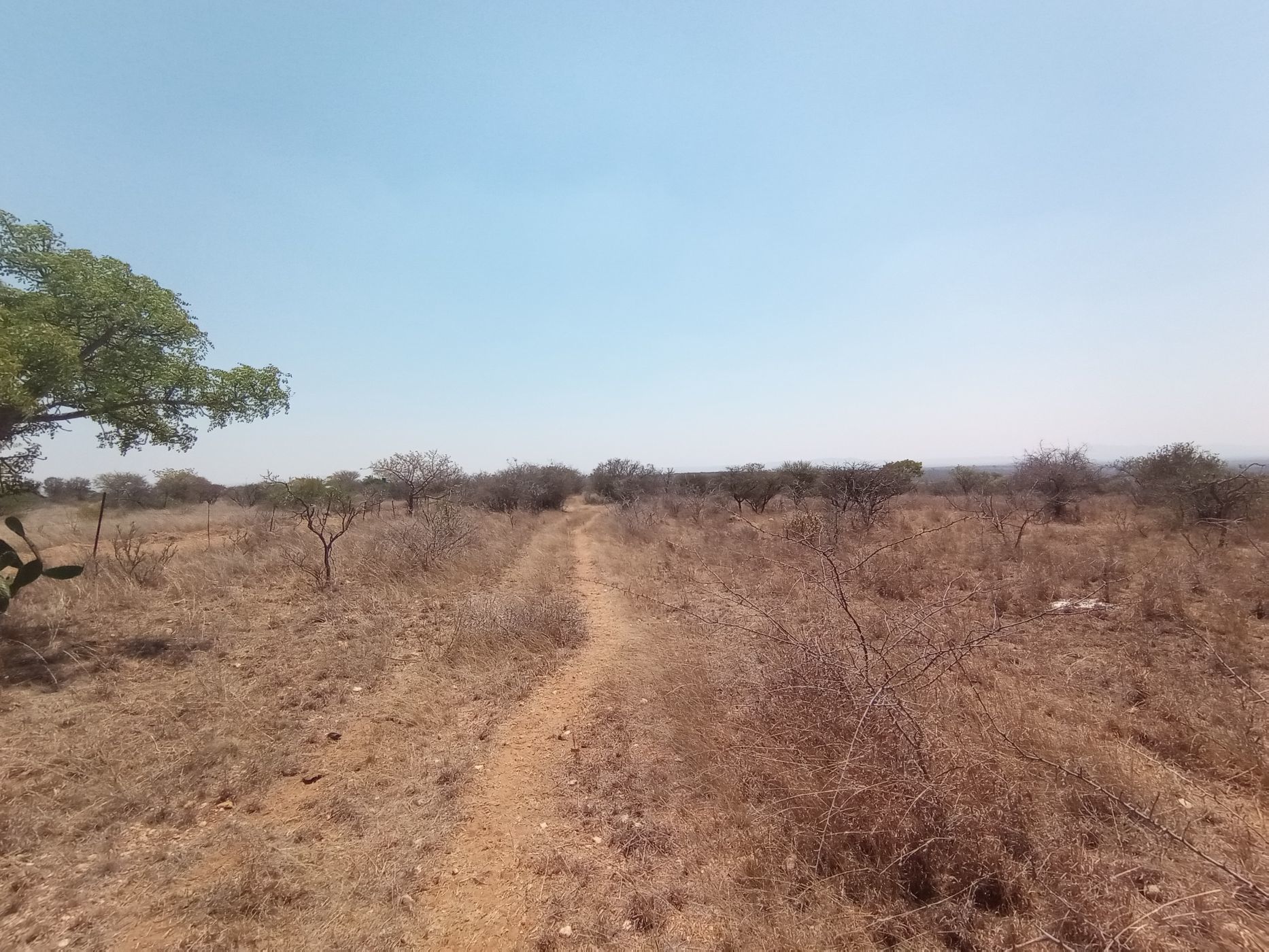 Farm vacant land for sale in Polokwane - 1PS1593438