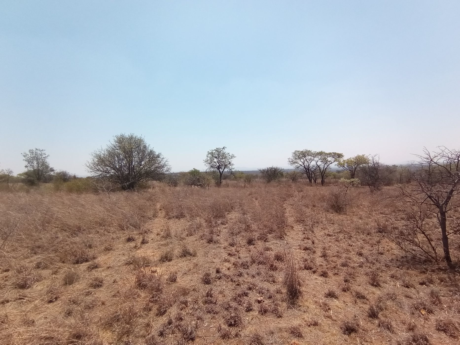 Farm vacant land for sale in Polokwane - 1PS1593438