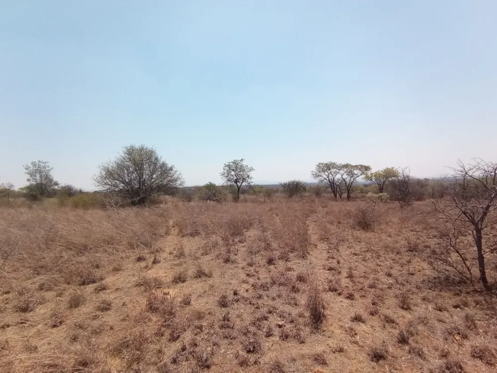 Farm vacant land for sale in Polokwane - 1PS1593438