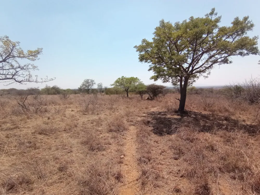Farm vacant land for sale in Polokwane - 1PS1593438