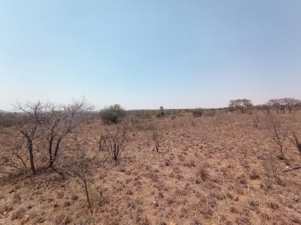 Farm vacant land for sale in Polokwane - 1PS1593438