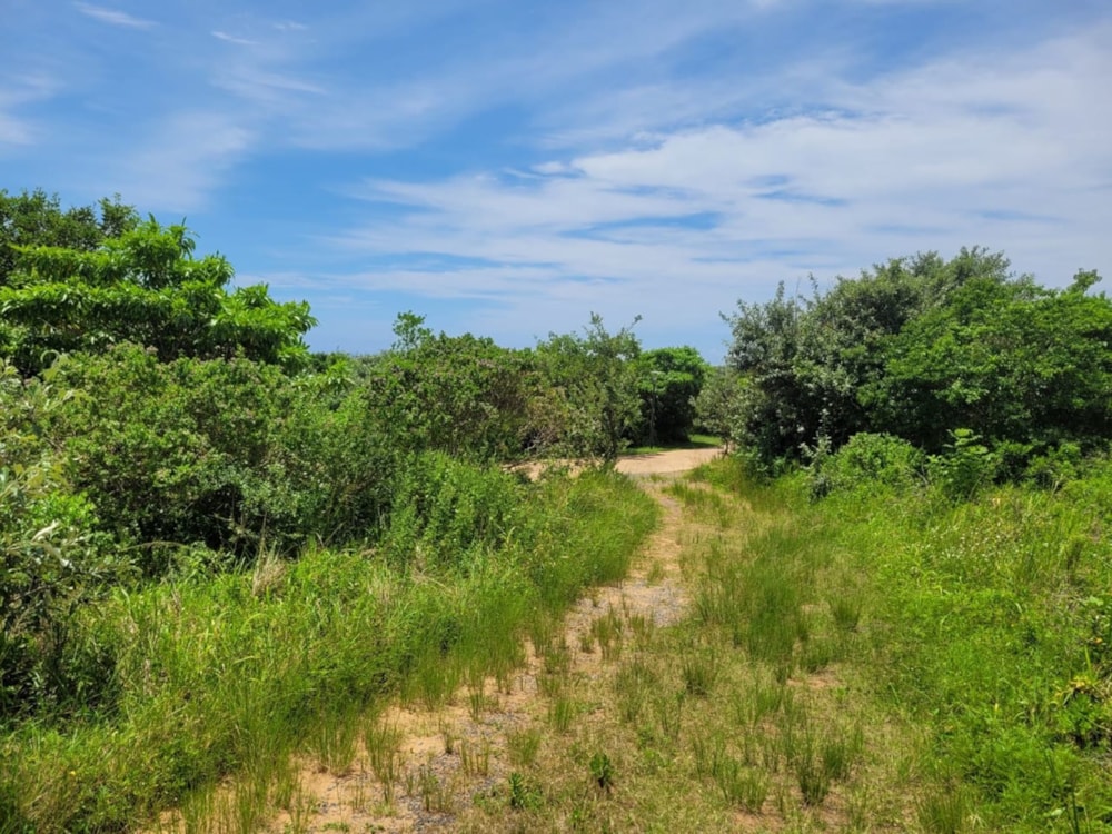 Vacant land for sale in Hawaan Forest Estate - 1ND1593318