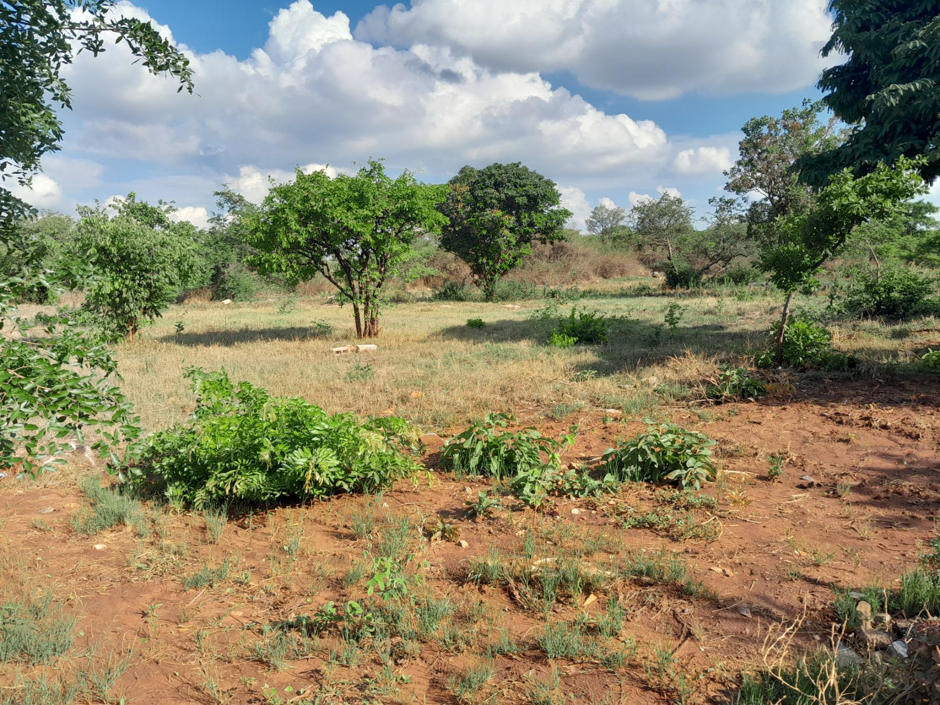 Vacant land for sale in Lusaka, Zambia - 3ZA1593840