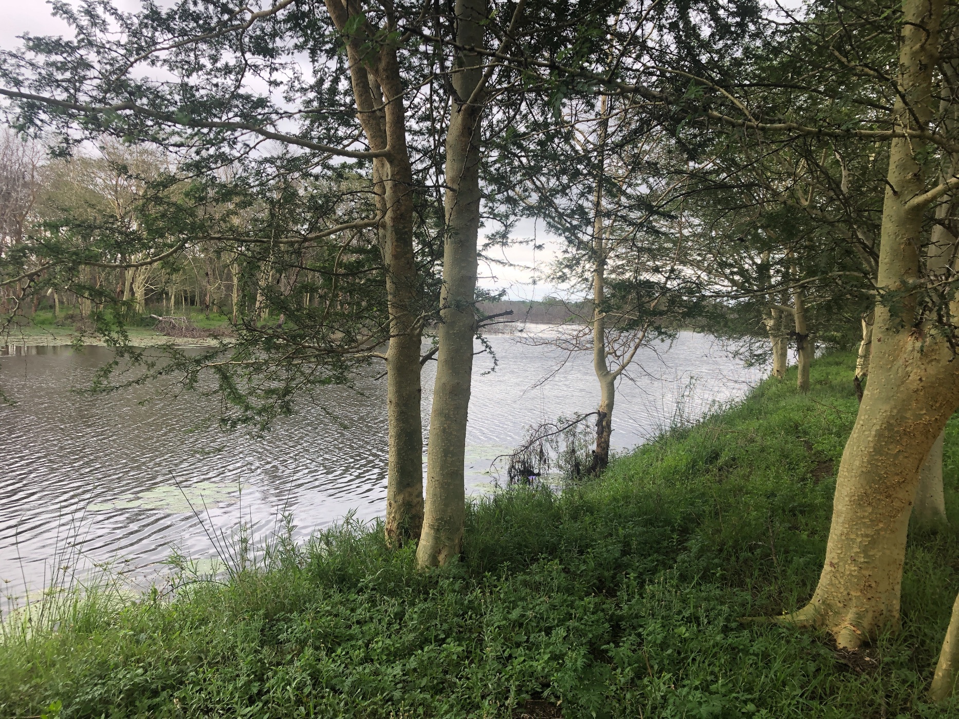 Farm vacant land for investment in Catembe, Mozambique - 3MQ1594000