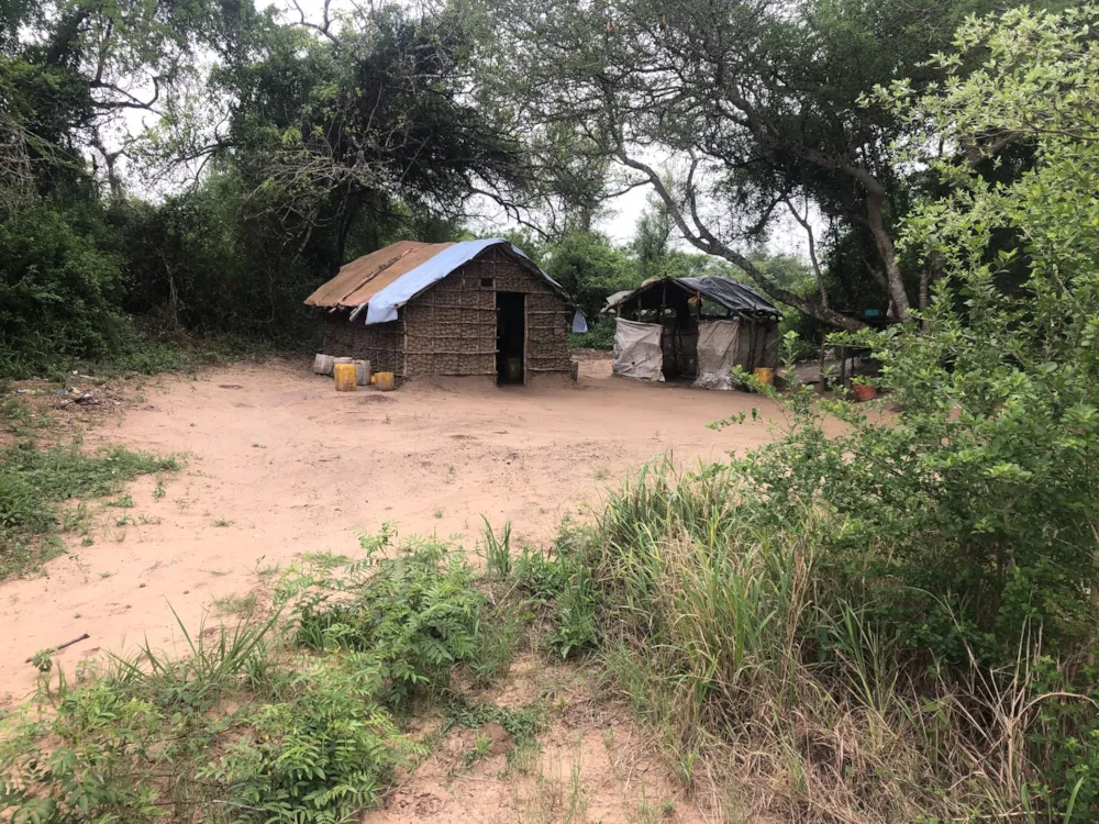 Farm vacant land for investment in Catembe, Mozambique - 3MQ1594000 Farm vacant land for investment in Catembe, Mozambique - 3MQ1594000