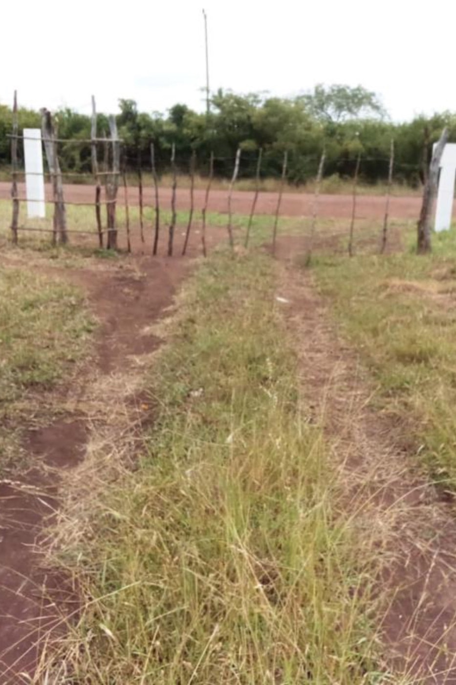 Farm vacant land for investment in Catembe, Mozambique - 3MQ1594003