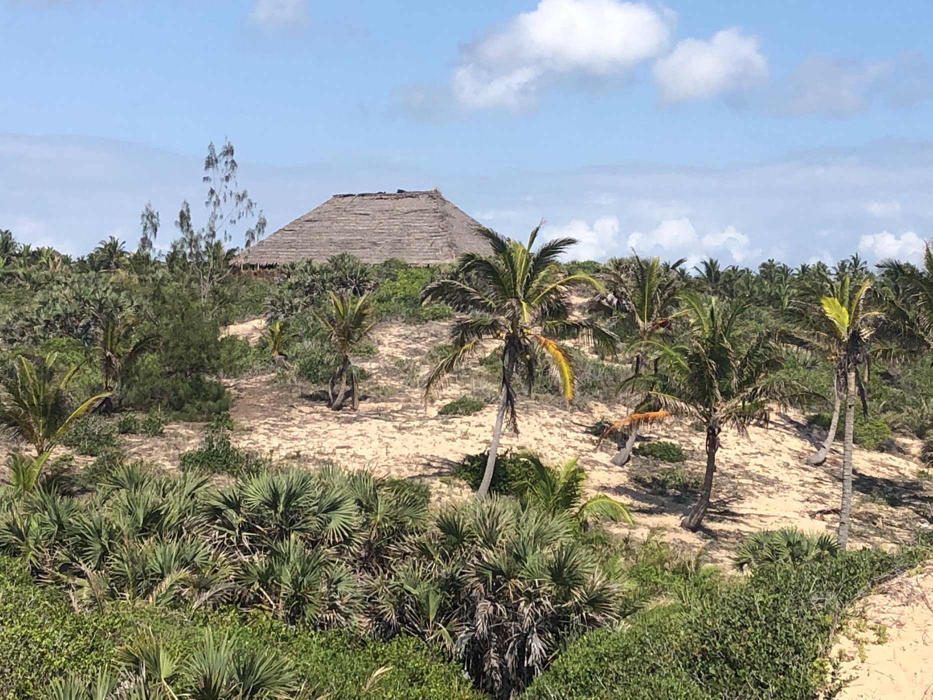 Vacant land for investment in Praia do Tofo, Mozambique - 3MQ1745679