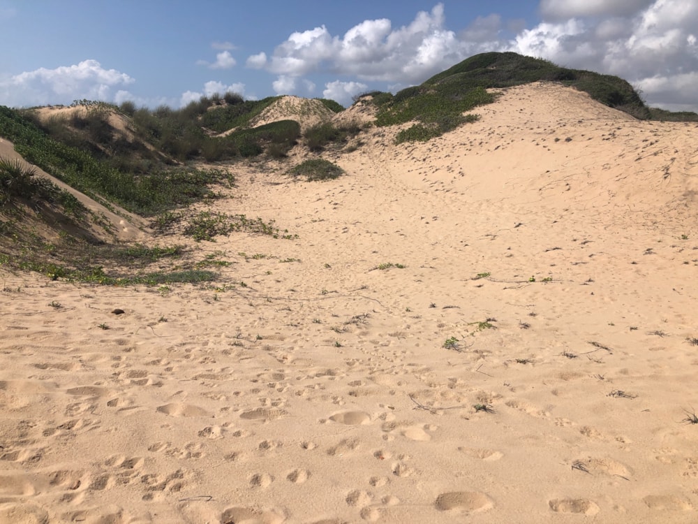 Vacant land for investment in Praia do Tofo, Mozambique - 3MQ1745679 Vacant land for investment in Praia do Tofo, Mozambique - 3MQ1745679