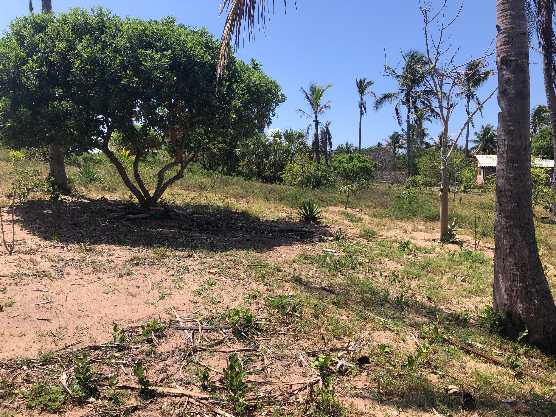 Vacant land for investment in Praia do Tofo, Mozambique - 3MQ1594175