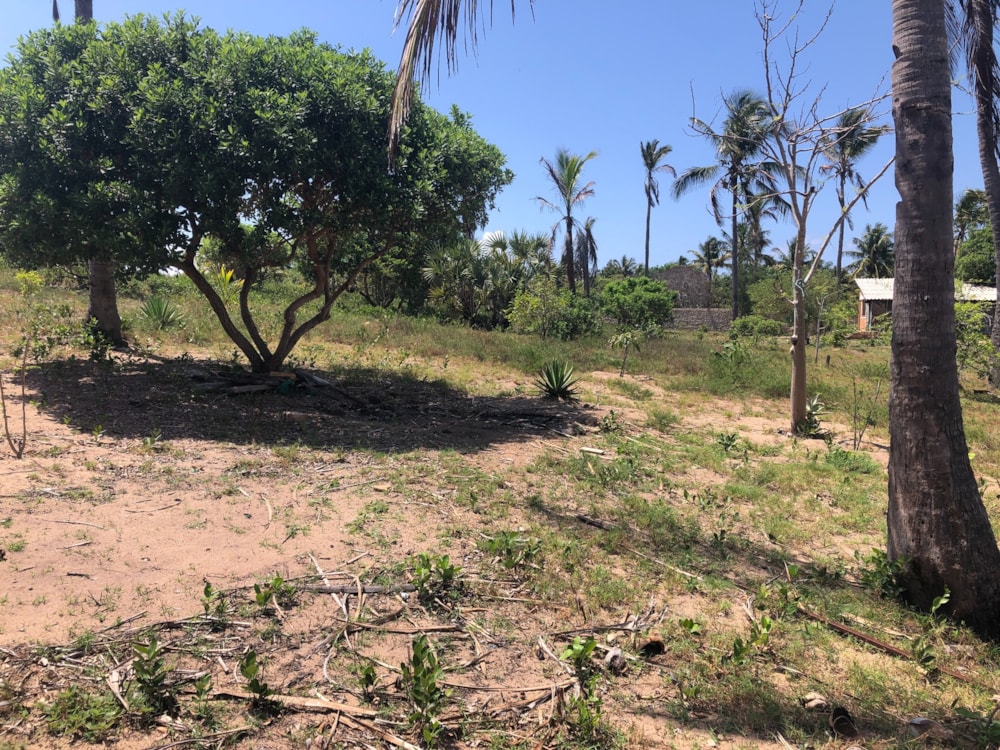 Vacant land for investment in Praia do Tofo, Mozambique - 3MQ1594175 Vacant land for investment in Praia do Tofo, Mozambique - 3MQ1594175