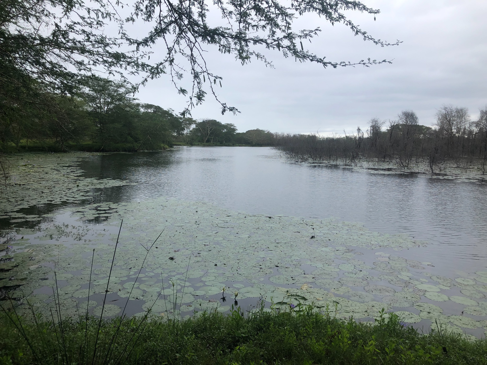 Farm vacant land for investment in Catembe, Mozambique - 3MQ1594522