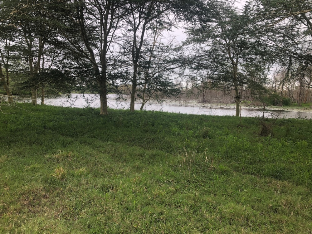 Farm vacant land for investment in Catembe, Mozambique - 3MQ1594522