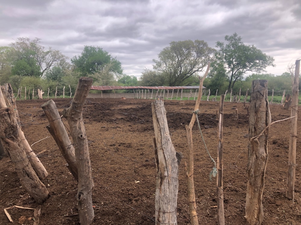 Farm vacant land for investment in Catembe, Mozambique - 3MQ1594522