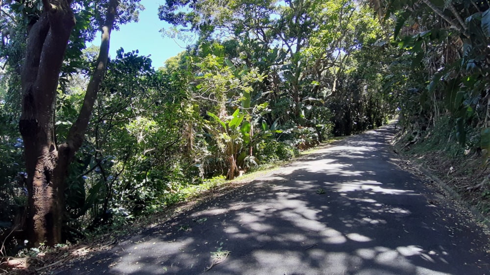 Vacant land for sale in Pumula - 1PSH1711197