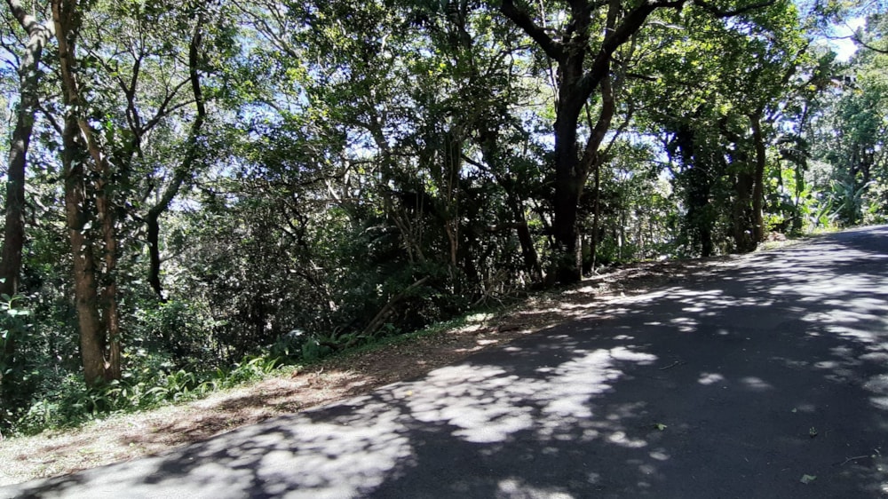 Vacant land for sale in Pumula - 1PSH1711197