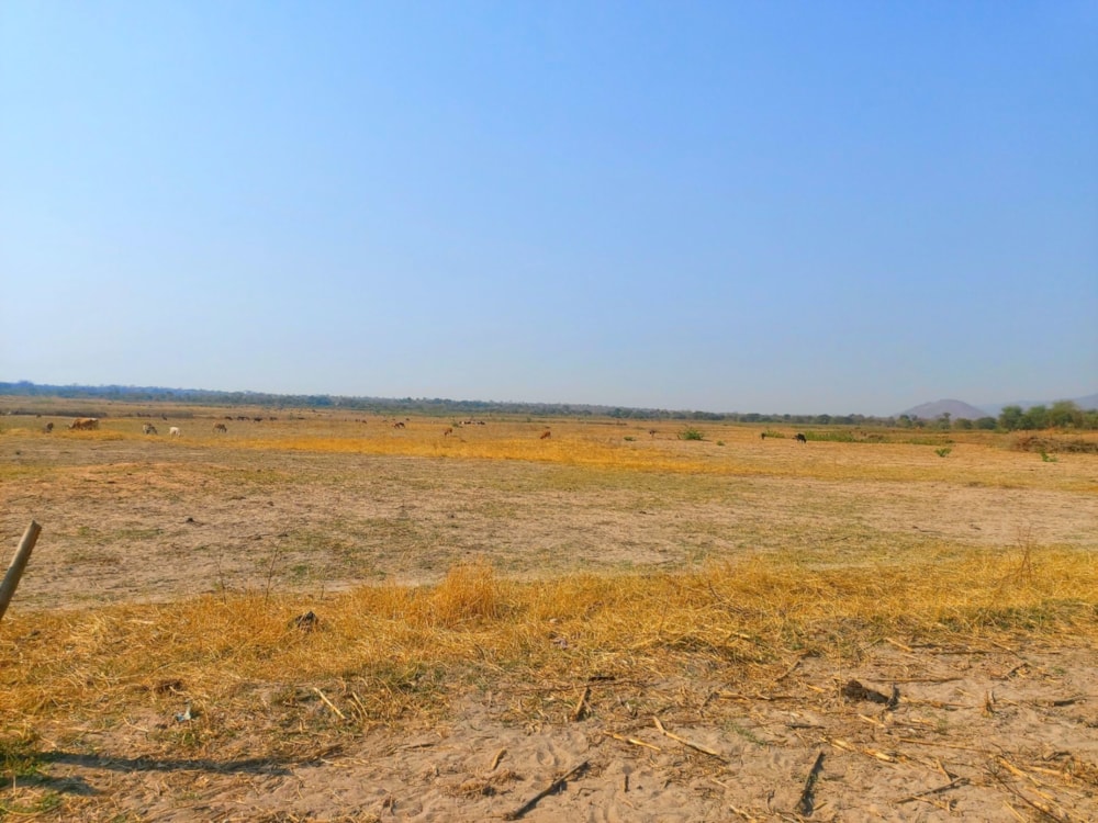 Vacant land for sale in Siavonga, Zambia - 3ZA1595353 Vacant land for sale in Siavonga, Zambia - 3ZA1595353