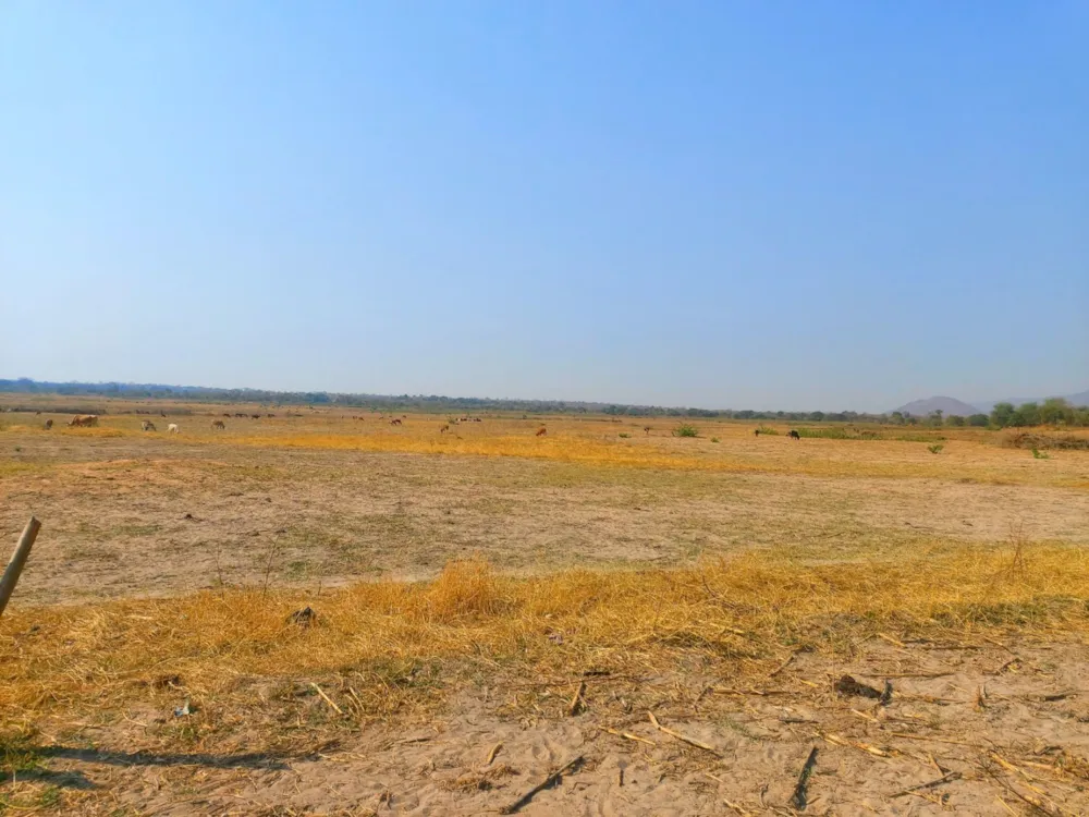Vacant land for sale in Siavonga, Zambia - 3ZA1595353 Vacant land for sale in Siavonga, Zambia - 3ZA1595353