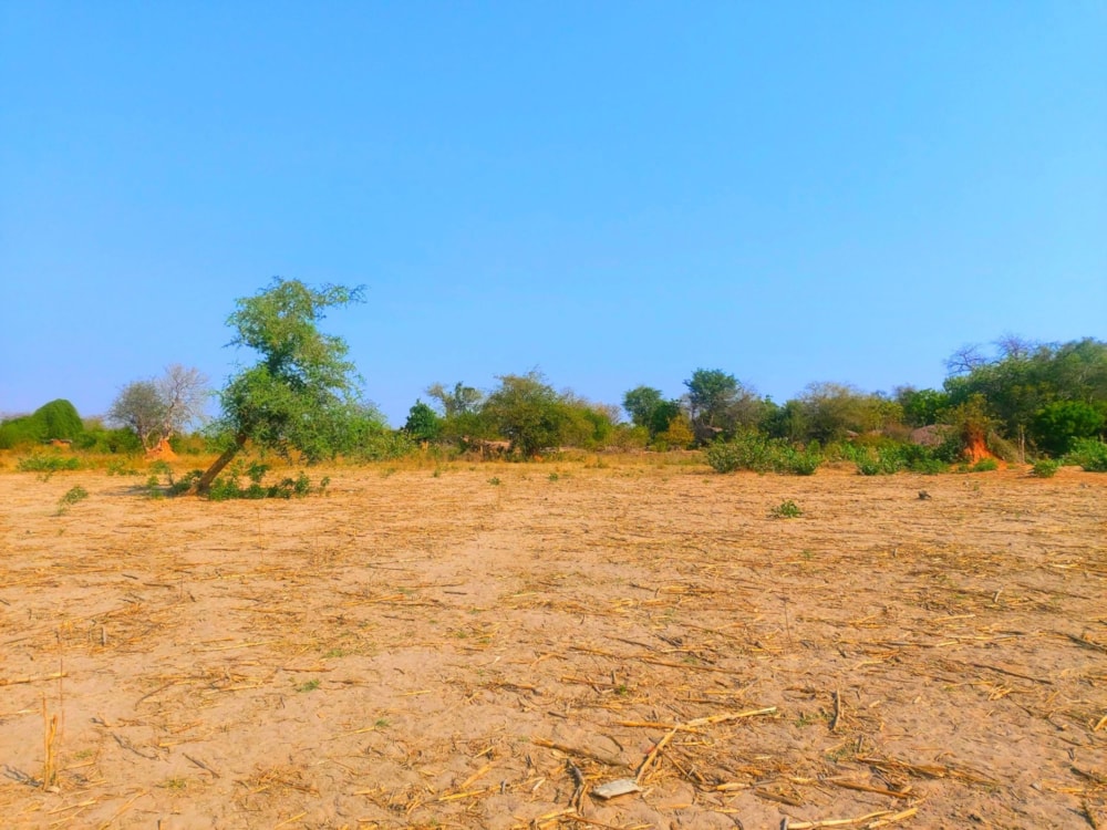 Vacant land for sale in Siavonga, Zambia - 3ZA1595353 Vacant land for sale in Siavonga, Zambia - 3ZA1595353