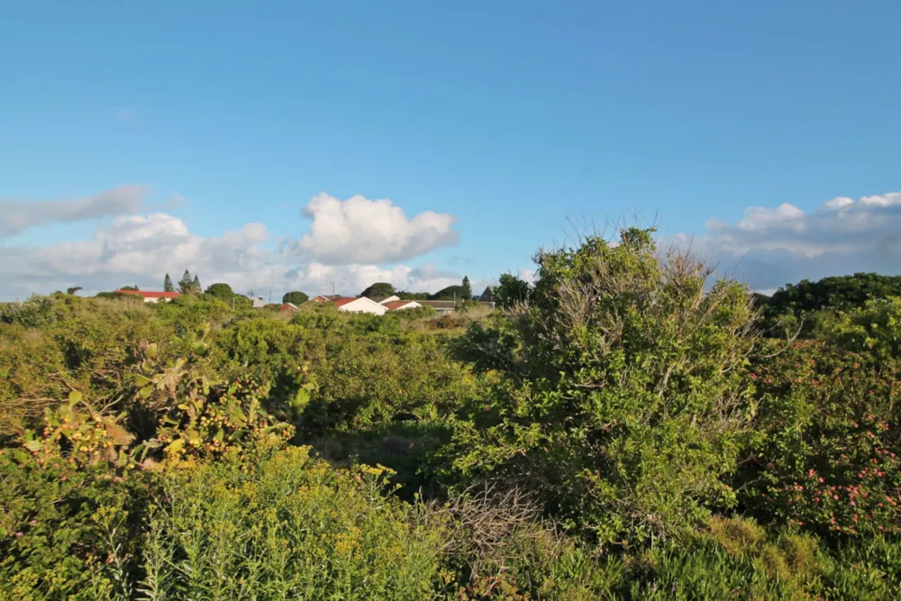 Residential vacant land for sale in Forest Downs - 1PF1591833