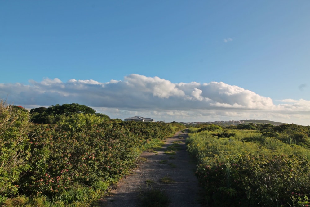 Residential vacant land for sale in Forest Downs - 1PF1591833 Residential vacant land for sale in Forest Downs - 1PF1591833