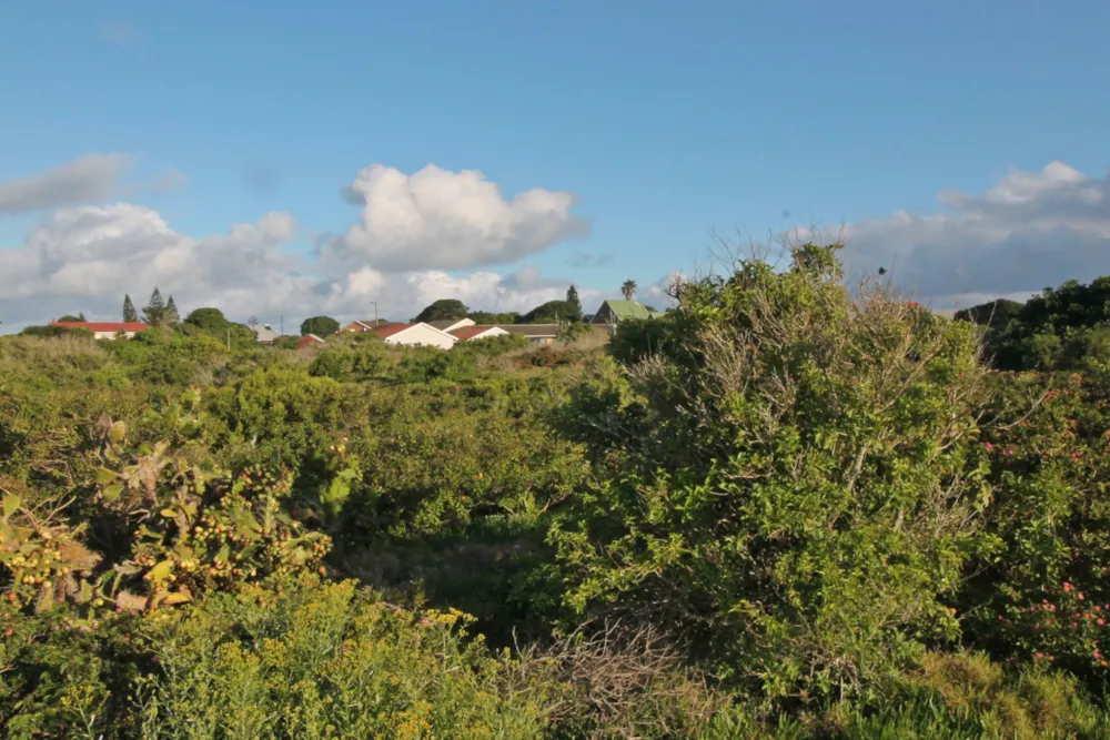 Residential vacant land for sale in Forest Downs - 1PF1591833