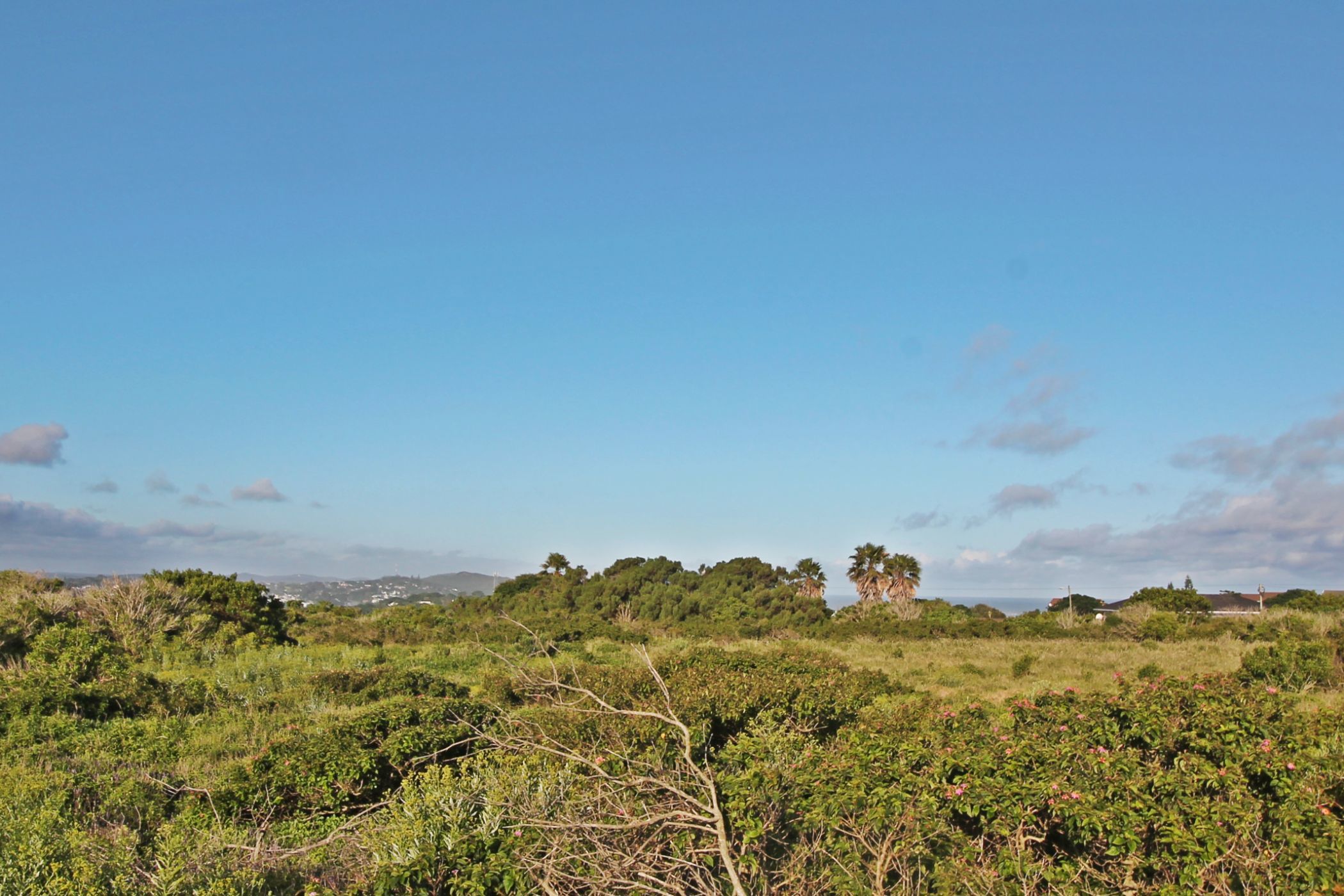 Residential vacant land for sale in Forest Downs - 1PF1591833