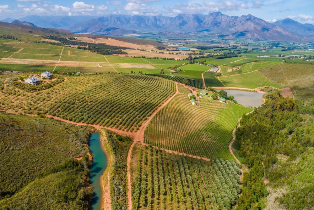 Mixed use farm for sale in Worcester Rural - TK1595900