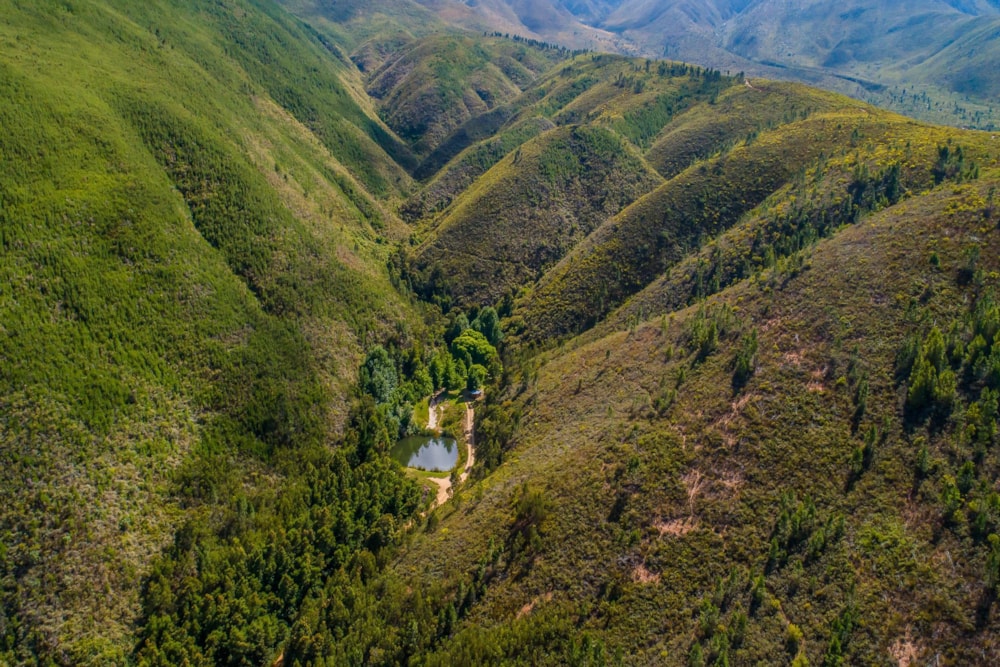 Mixed use farm for sale in Worcester Rural - TK1595900